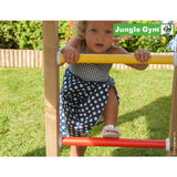 Jungle Gym Club Climbing frame (T401-110) Buy Online - Your Little Monkey