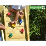 Jungle Gym Rock Module Buy Online - Your Little Monkey